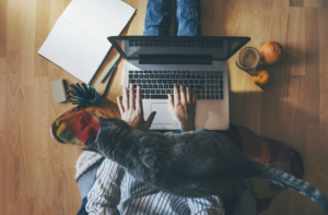 person sitting on the floor working from home with a laptop and cat on their lap